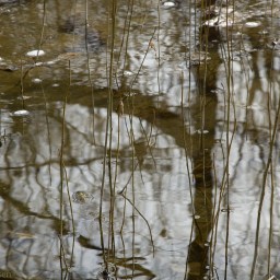 Sand Creek Remnants of Summer
