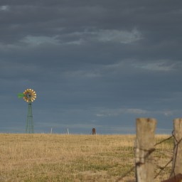 Late Sun Windmill