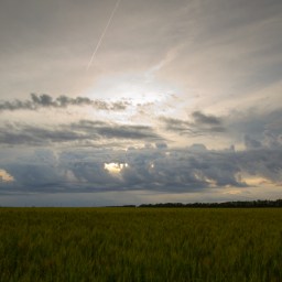 Late Day Western View