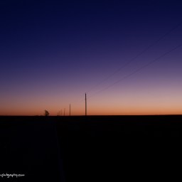 Poles at Dawn