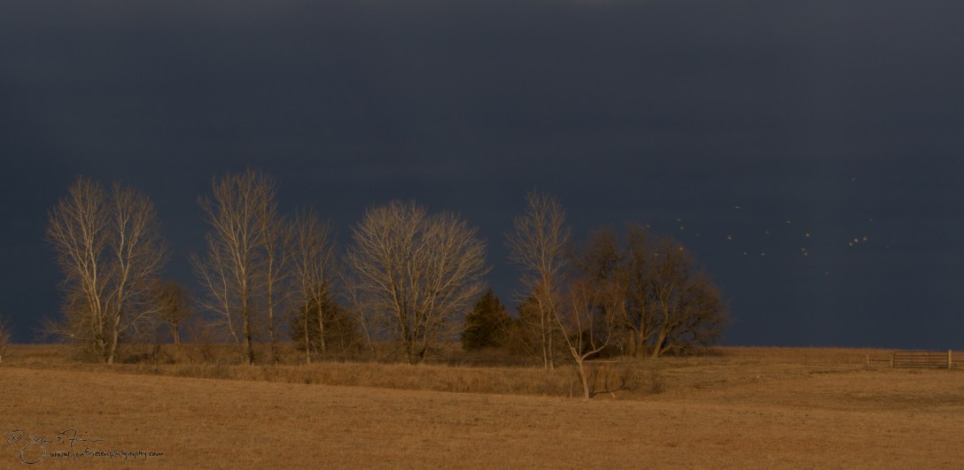 Late Day Cloud Break-1739