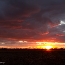 Lingering Storm Remnants