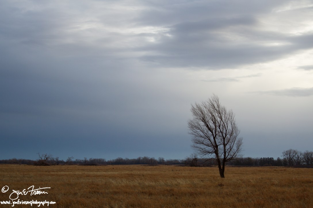 F13 005 Quivira -1848