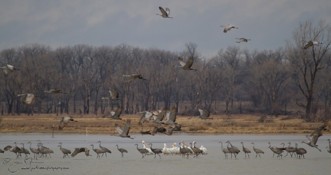Morning Departure from the Big Salt Marsh-1871