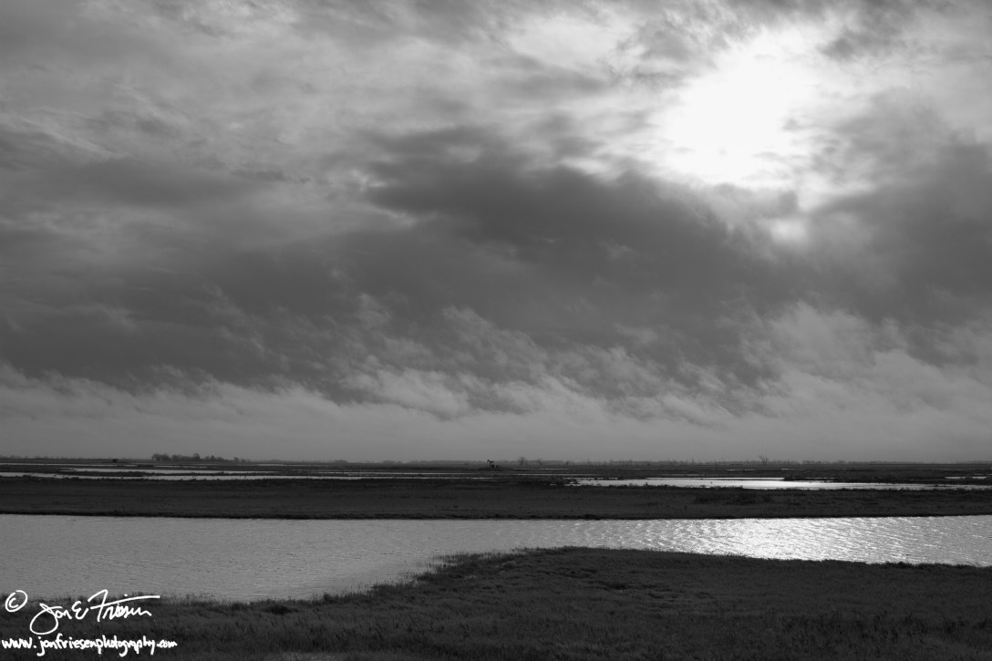 Quivira Post Rain-1882