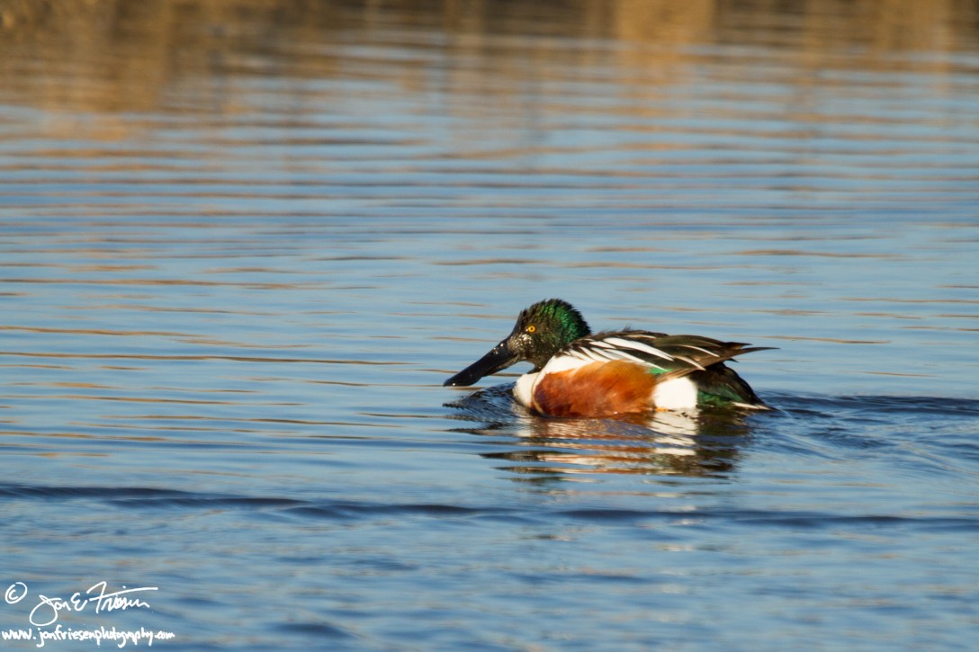 2013 Quivira in April-2229