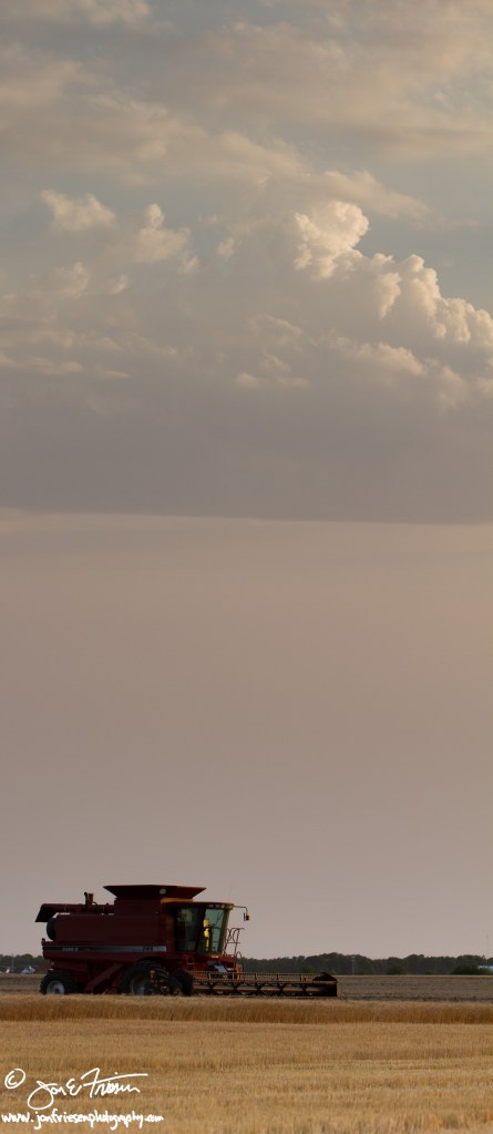 Harvest Evening-3010