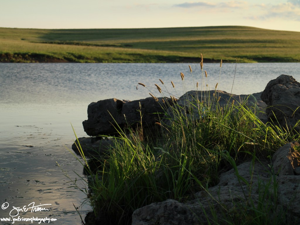 Chase County Kansas Flint Hills-0582