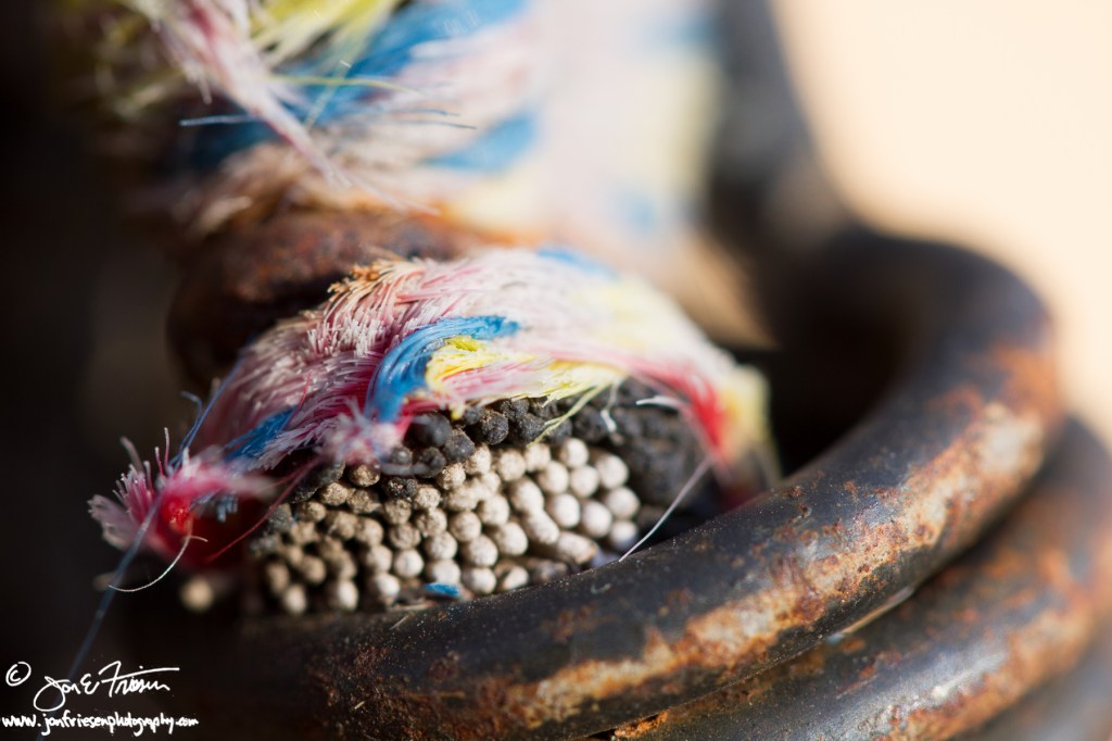 Abandoned Bungee-5338