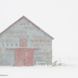 Barn in Snow