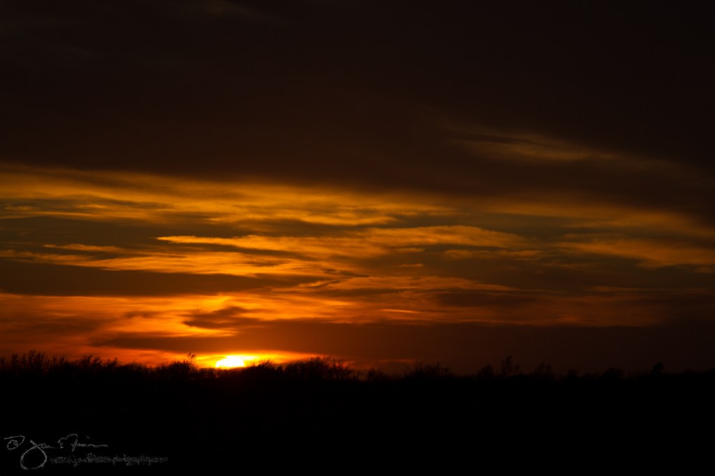 March Sunset-5561