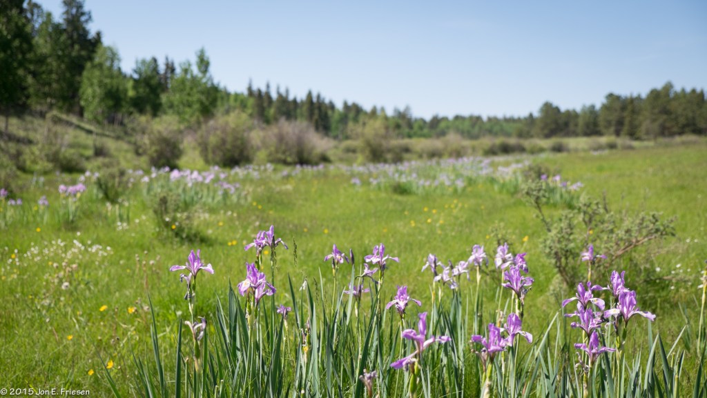 Colorado 2015 JuneJuly-2809