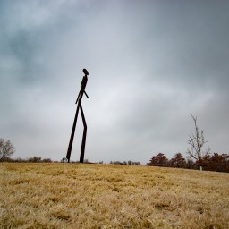 Walking on a Winter Day