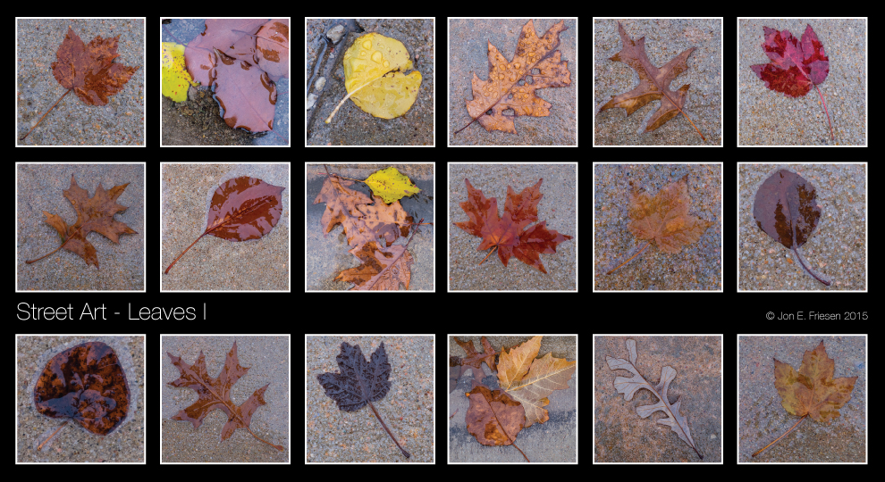 Street-Art---Leaves-I