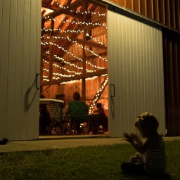 Applauding the Performance -3533