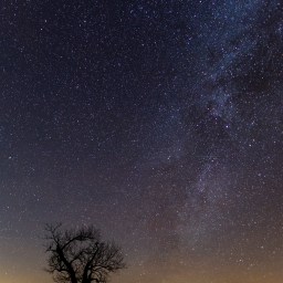 Tallgrass Prairie No. 6 Winter Milky Way