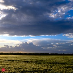 Clearing Spring Storm -5932